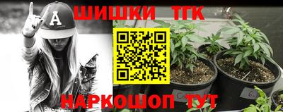крисы Заводоуковск