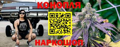 крисы Заводоуковск