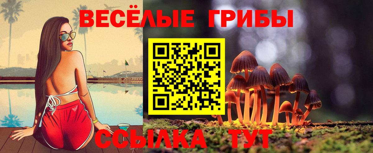 Феодосия  Галлюциногенные грибы мухоморы  Вход с VPN  Псилоцибиновые грибы MAGIC MUSHROOMS 