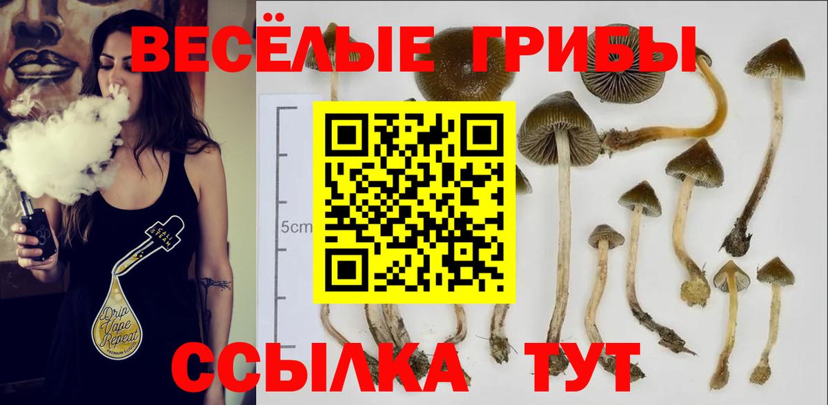 Псилоцибиновые грибы Psilocybine cubensis Феодосия